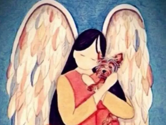 Condolence image of Martina mit Seelenhund Samy ♥️⭐♥️ für immer im Herzen 