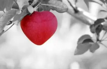 Condolence image of *Zeit vergeht*