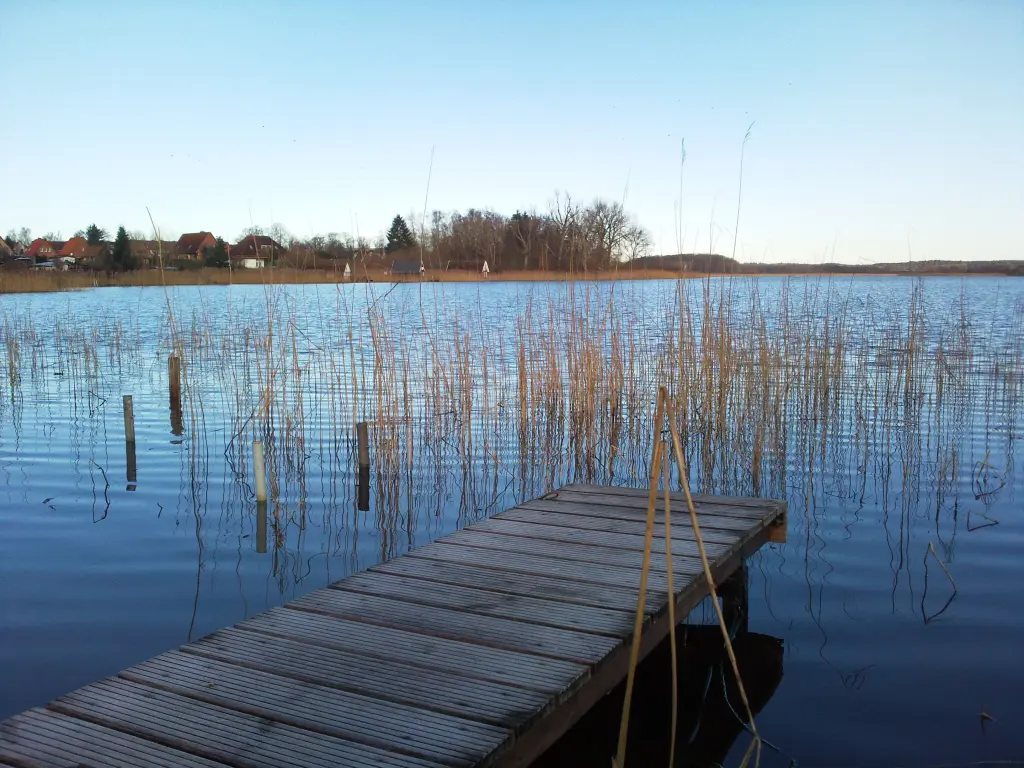 Condolence image of Manuela mit Seelenhund Flick
