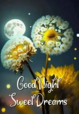 Condolence image of ⭐❤Gute Nacht Jackusiu❤⭐