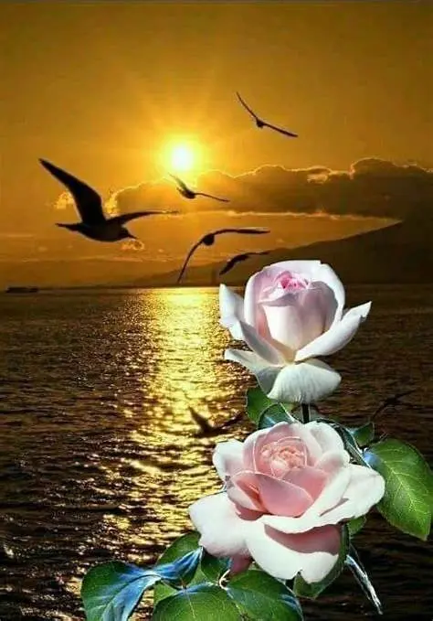 Condolence image of Süße Träume ins Regenbogenland ❤️