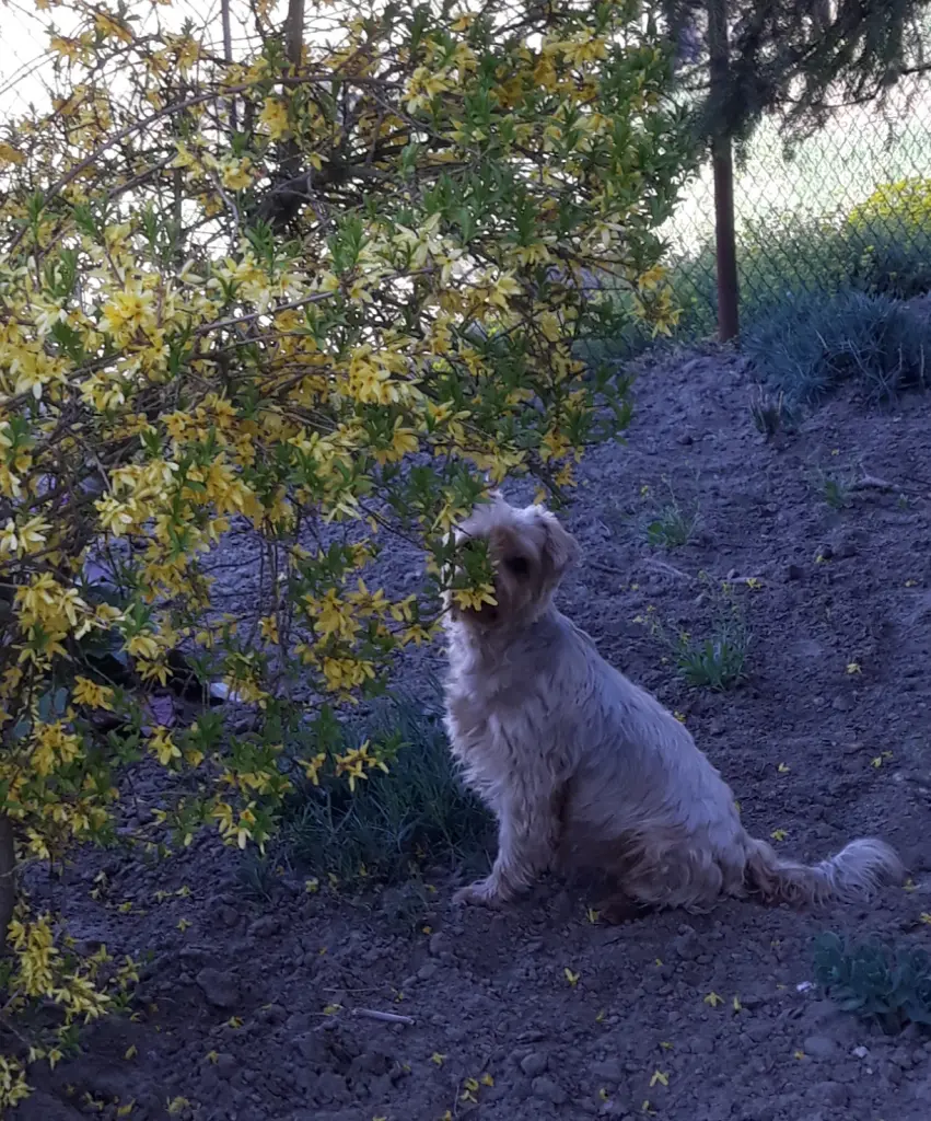 Condolence image of Ewa & Krzysztof 
