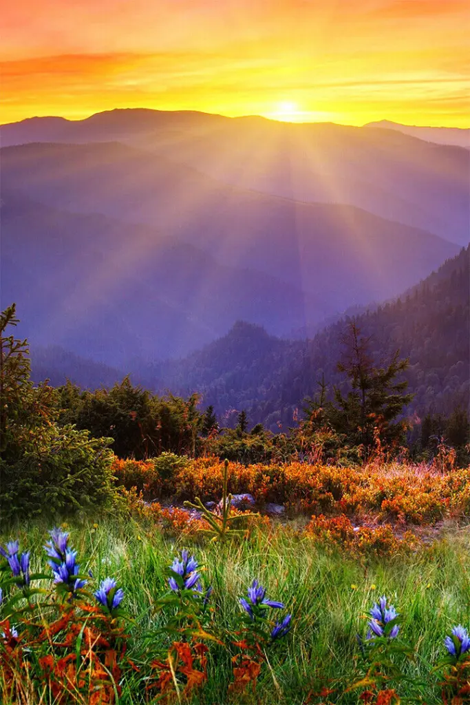 Condolence image of ❤️