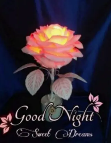 Condolence image of ⭐❤Gute Nacht Jackusiu❤⭐