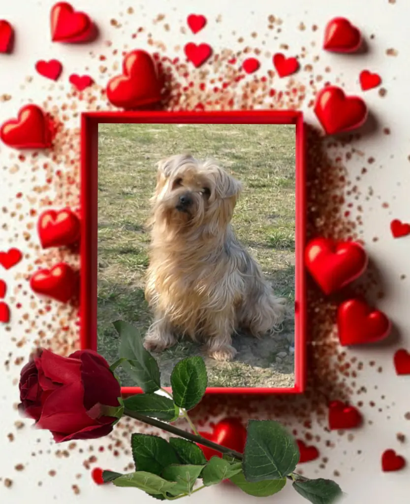 Condolence image of Ewa & Krzysztof 