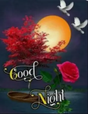 Condolence image of ⭐❤Gute Nacht Jackusiu❤⭐