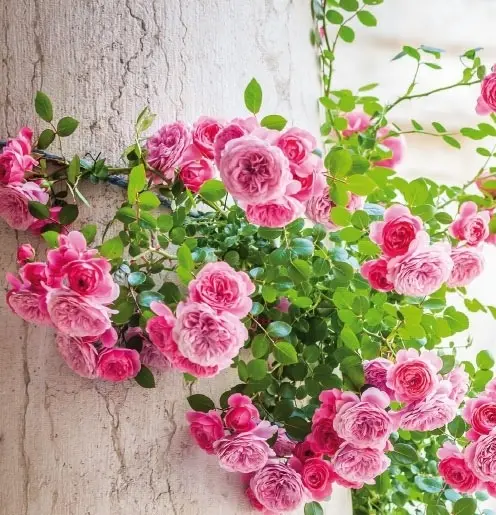 Condolence image of ❤️