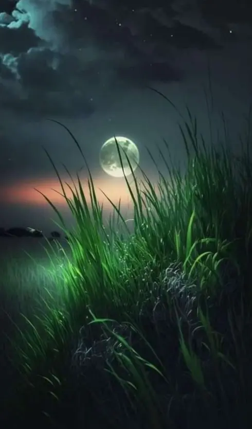 Condolence image of ⭐❤Gute Nacht Jackusiu❤⭐