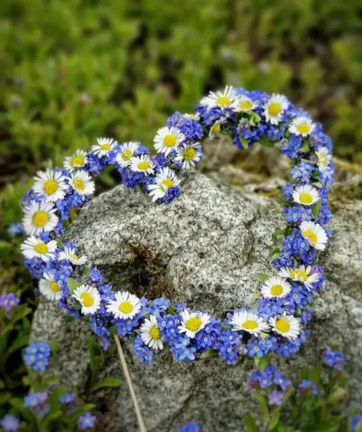 Condolence image of Martina mit Seelenhund Samy ♥️⭐♥️ für immer im Herzen 