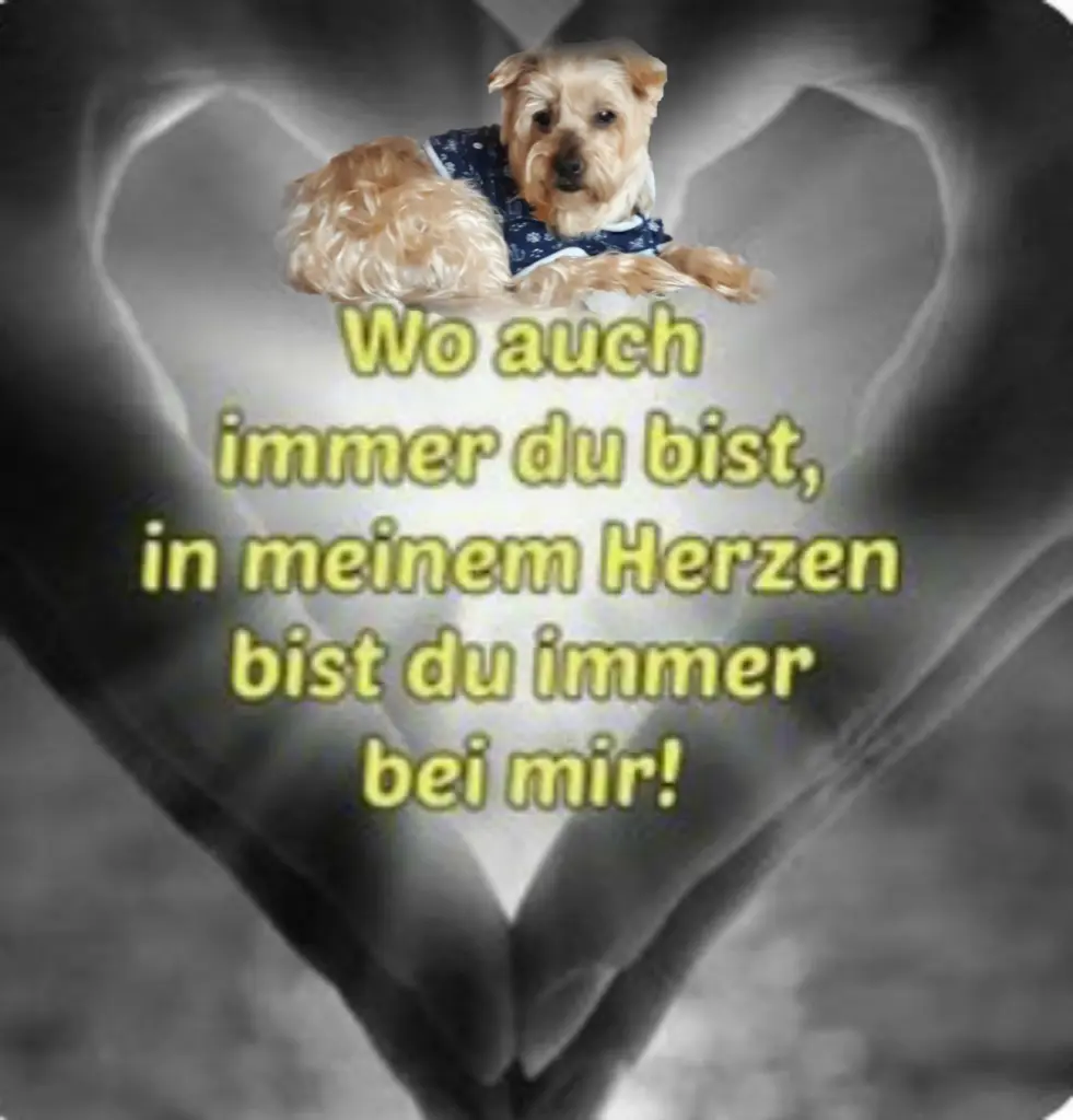 Condolence image of Ewa & Krzysztof 