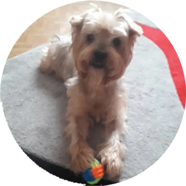 Condolence image of Ewa & Krzysztof 