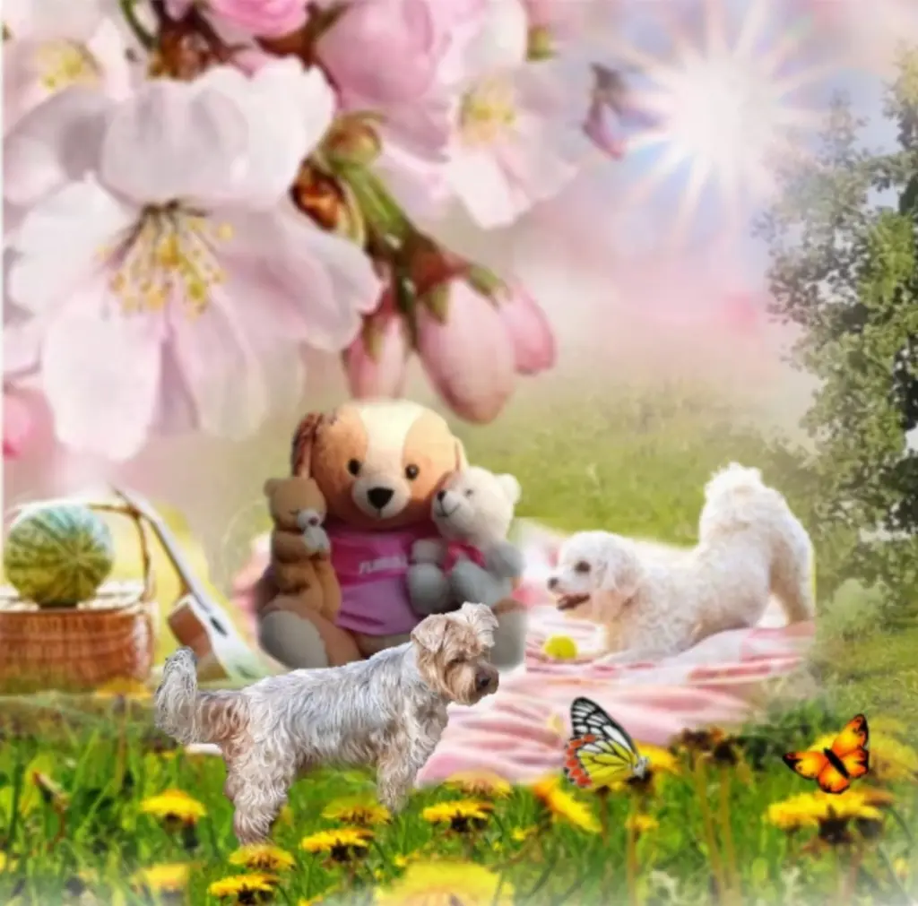 Condolence image of ❤️