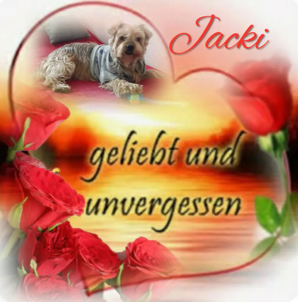 Condolence image of Sonntag...40 Wochen ohne Dich Jackuś❤...