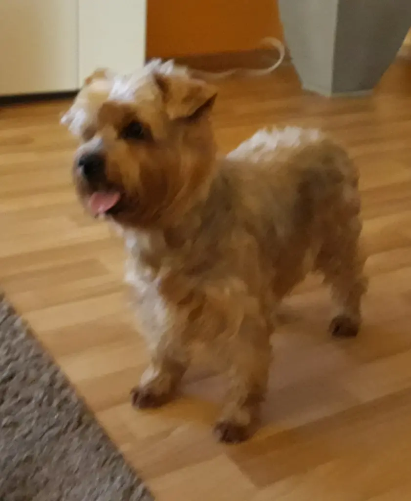 Condolence image of Ewa & Krzysztof 