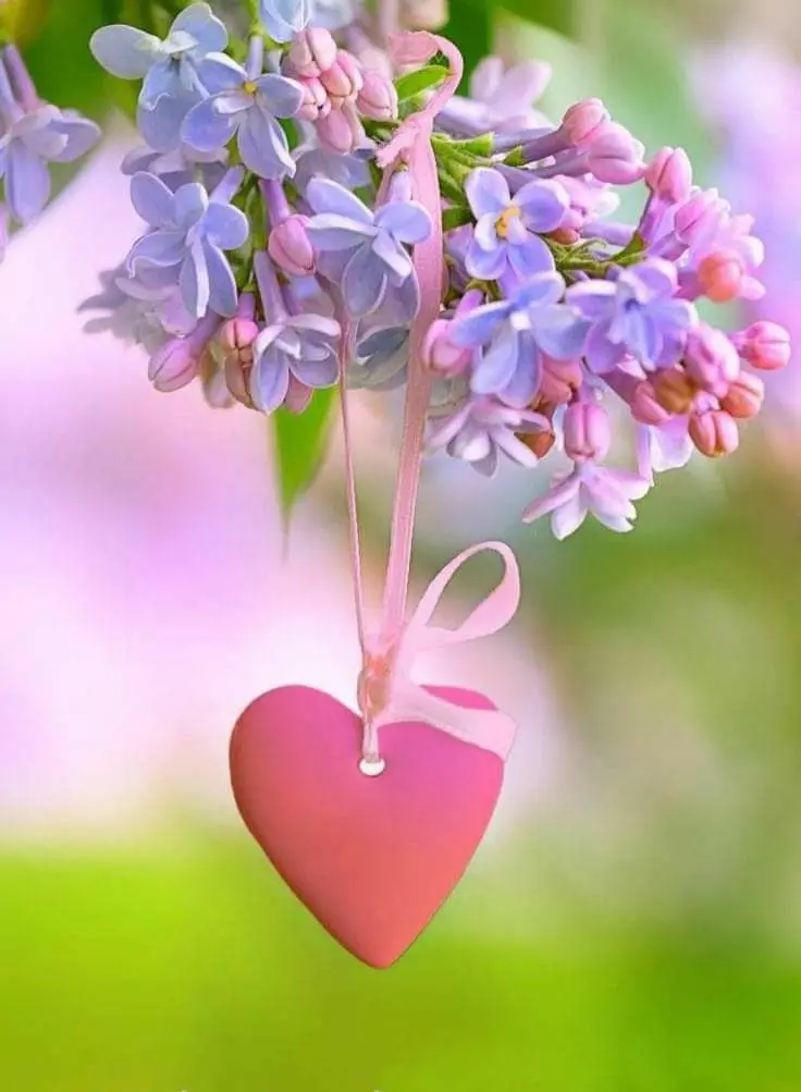 Condolence image of Ein lieber Morgengruß ♥️