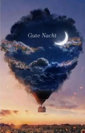 Condolence image of ⭐❤Gute Nacht Jackusiu❤⭐