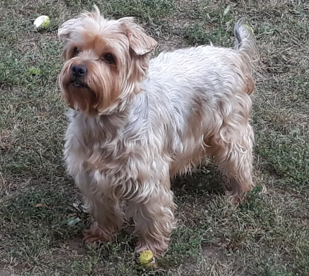 Condolence image of Ewa & Krzysztof 