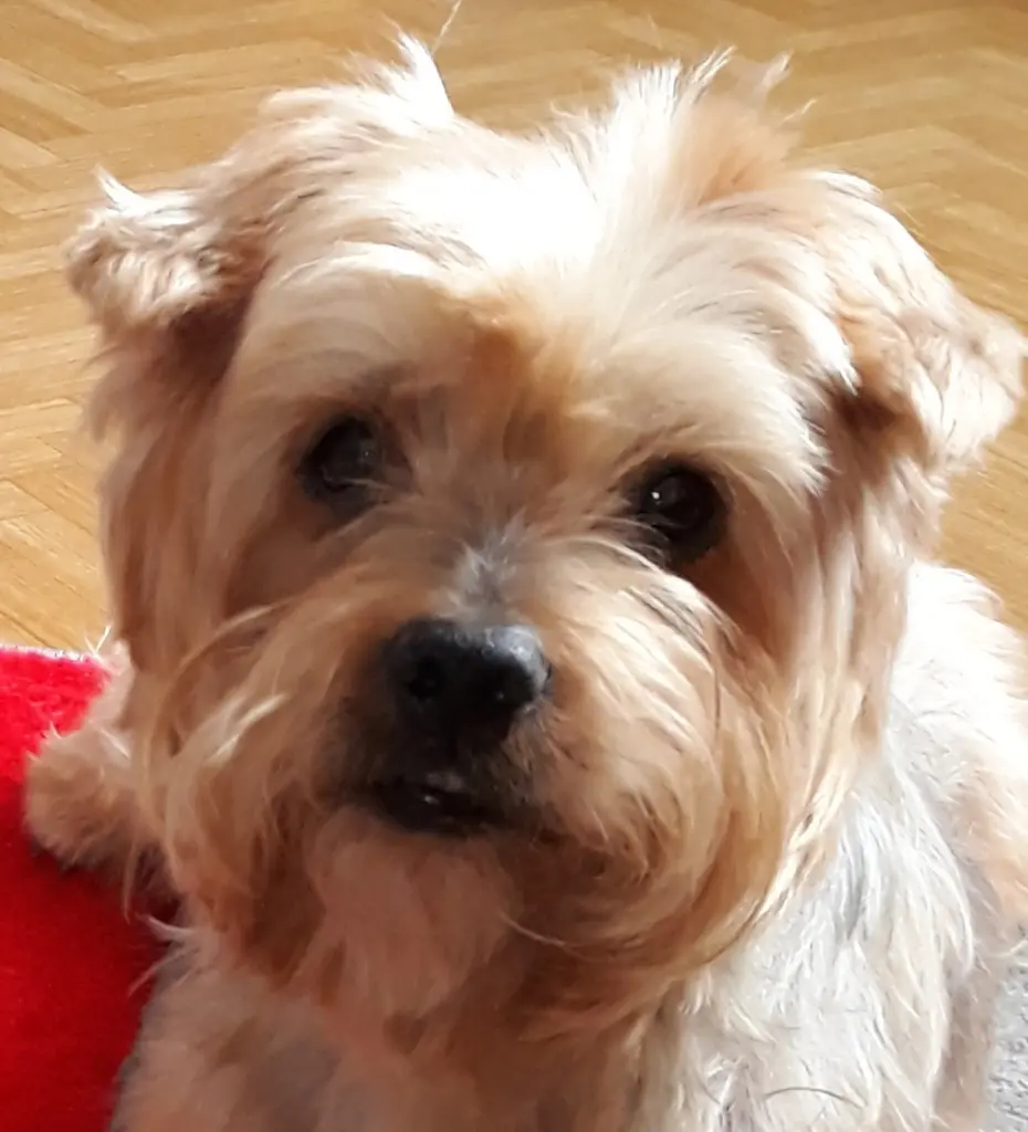 Condolence image of Ewa & Krzysztof 