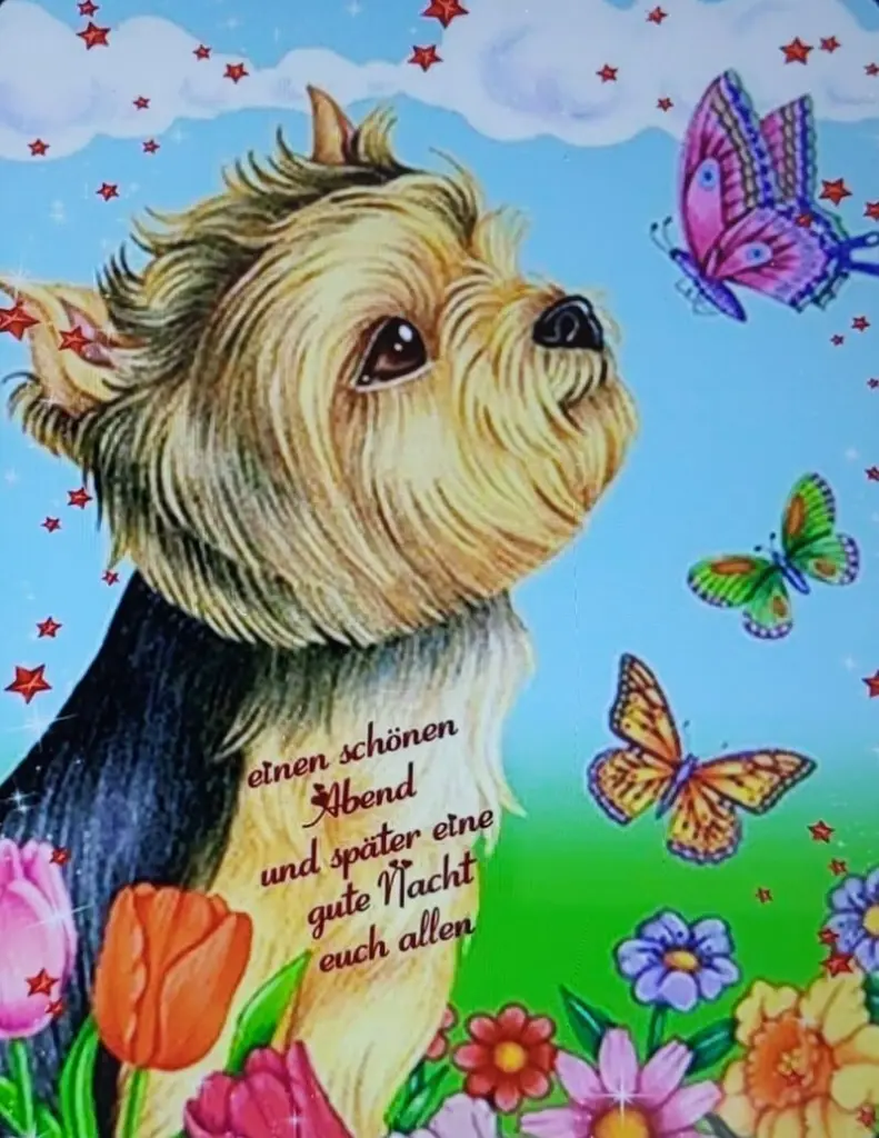 Condolence image of ❤️ Gute Nacht Gruß ❤️