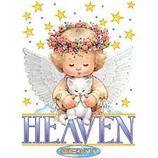 Condolence image of Für den lieben Jacki ♥️⭐♥️