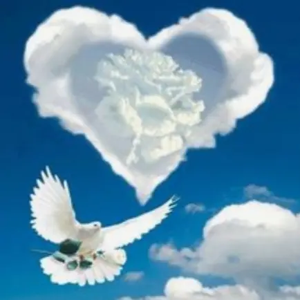 Condolence image of Ewa & Krzysztof 