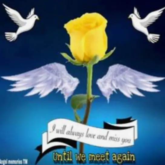 Condolence image of ⭐❤Gute Nacht Jackusiu❤⭐