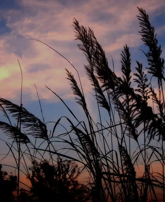 Condolence image of ❤️