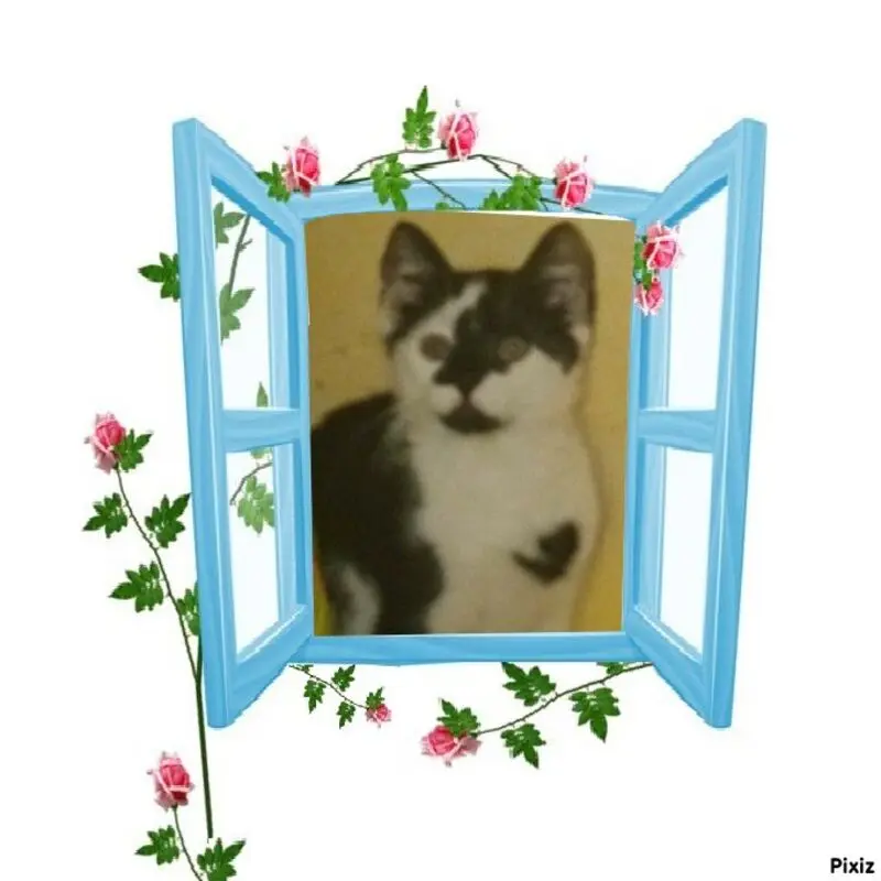 Condolence image of Snoopy ❤Pünktchen 