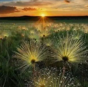 Condolence image of ⭐️❤️Gute Nacht Jackusiu❤️⭐️