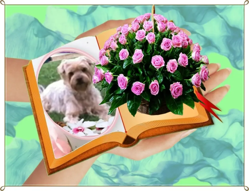 Condolence image of 43. Tygodnie....BEZ CIEBIE❤️⭐️UKOCHANY❤️❤️❤️❤️❤️❤️JACKUNIU❤️⭐️