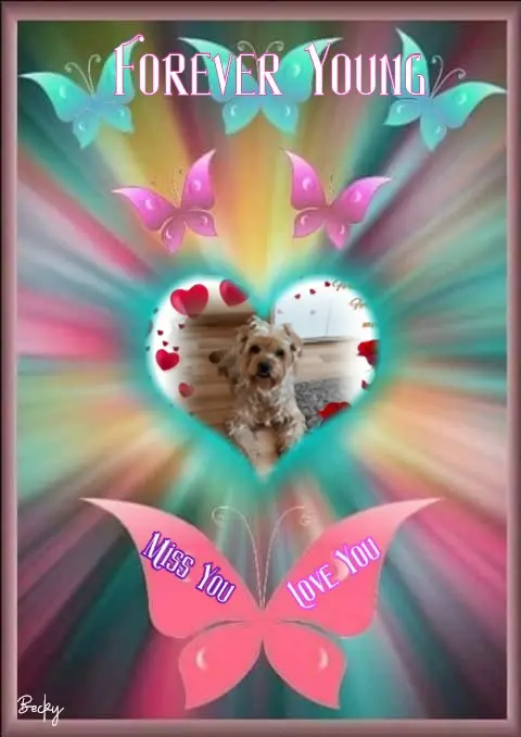 Condolence image of 10.Długich....Miesięcy........Bez Ciebie❤️⭐️Jackusiu❤️⭐️