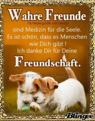 Condolence image of ❤️ Freundschaft ❤️