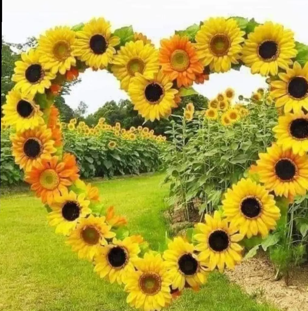 Condolence image of ❤️❤️❤️❤️