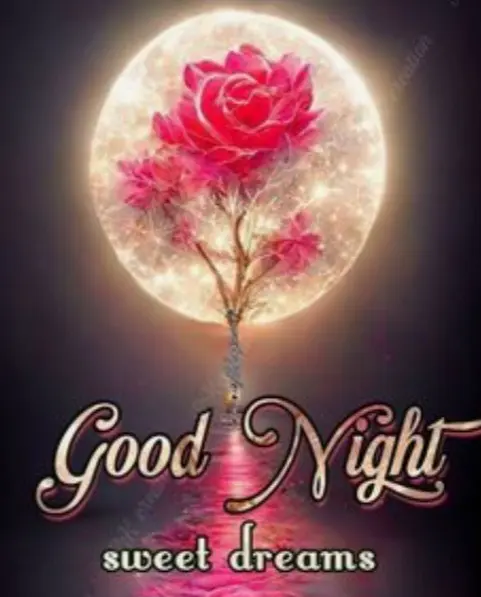 Condolence image of ⭐️❤️Gute Nacht Jackusiu❤️⭐️