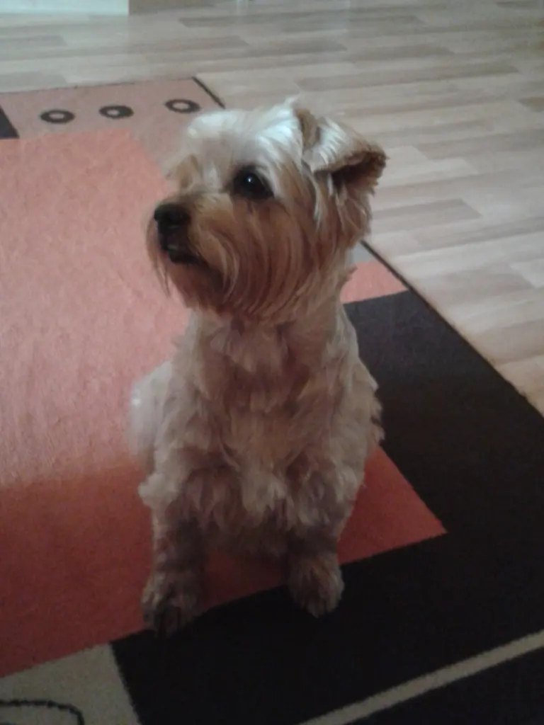 Condolence image of Ewa & Krzysztof 