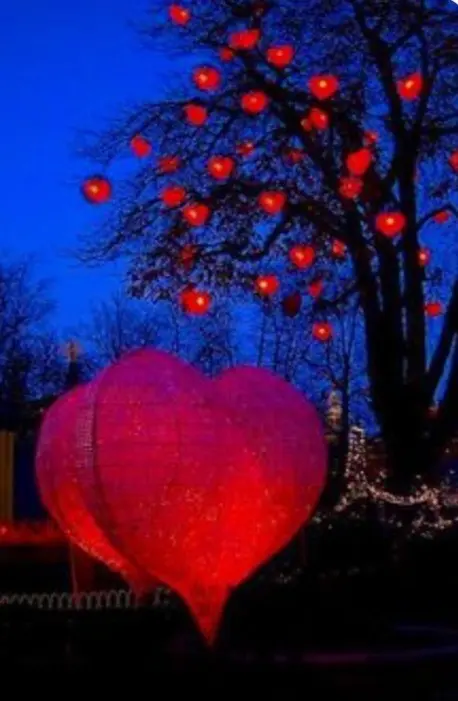 Condolence image of ⭐️❤️Gute Nacht Jackusiu❤️⭐️