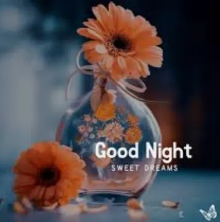 Condolence image of ⭐️❤️Gute Nacht Jackusiu❤️⭐️