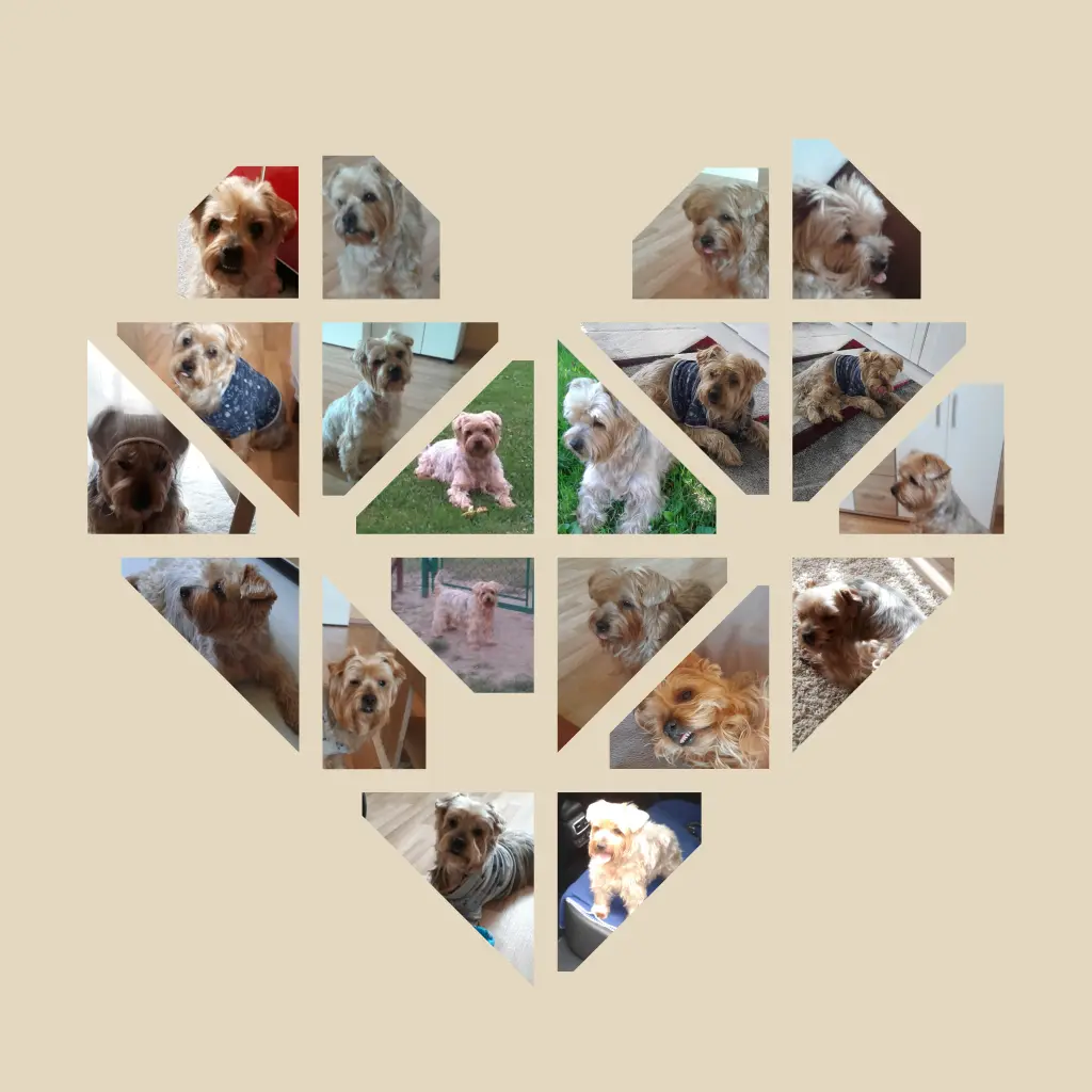 Condolence image of ⭐️❤️Gute Nacht Jackusiu❤️⭐️