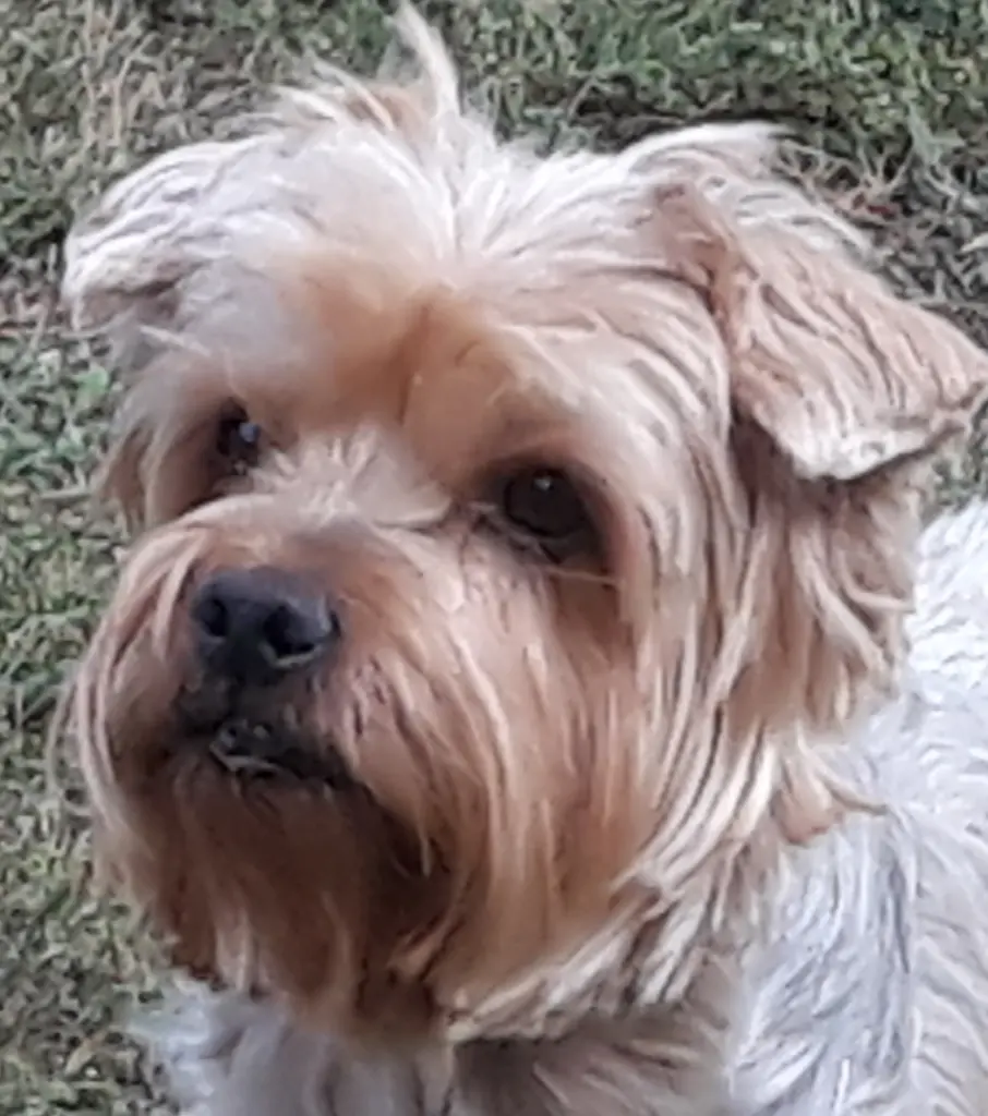 Condolence image of Ewa & Krzysztof 