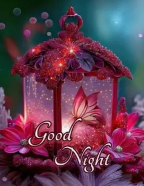 Condolence image of ⭐️❤️Gute Nacht Jackusiu❤️⭐️