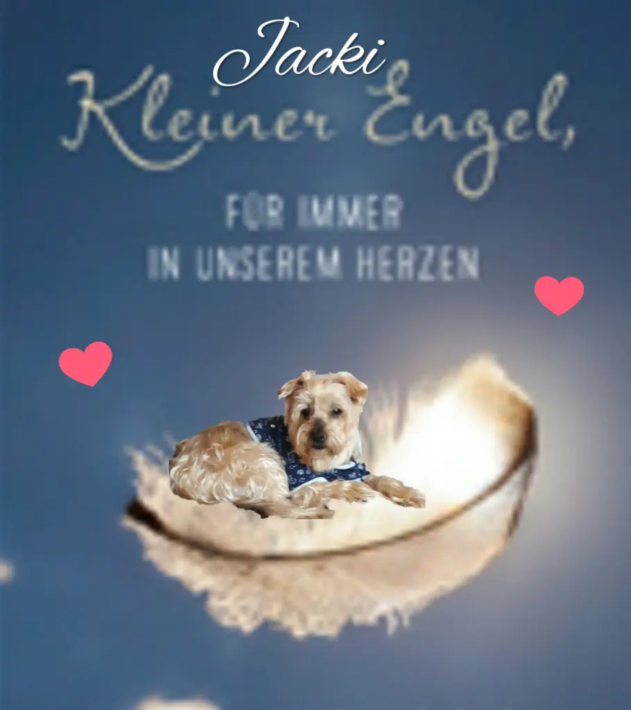 Condolence image of ⭐️❤️Gute Nacht Jackusiu❤️⭐️