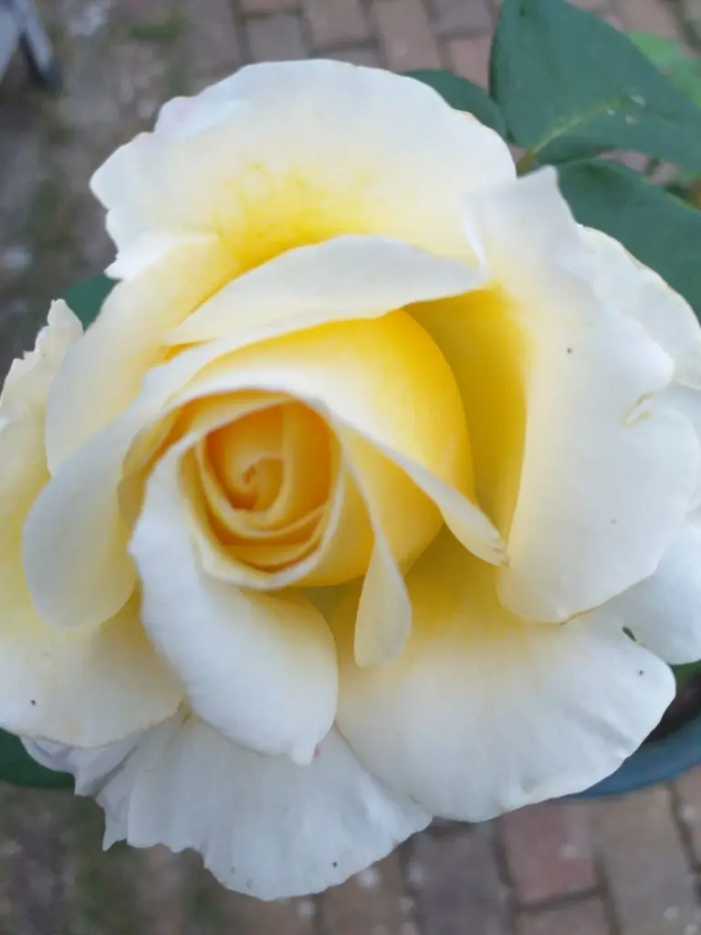 Condolence image of ❤️❤️❤️❤️❤️❤️❤️❤️❤️❤️❤️❤️