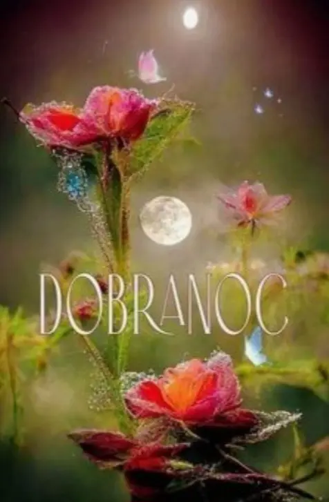 Condolence image of ⭐️❤️Gute Nacht Jackusiu❤️⭐️