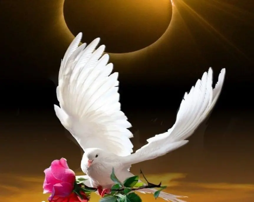 Condolence image of ❤️Zawsze w sercu❤️