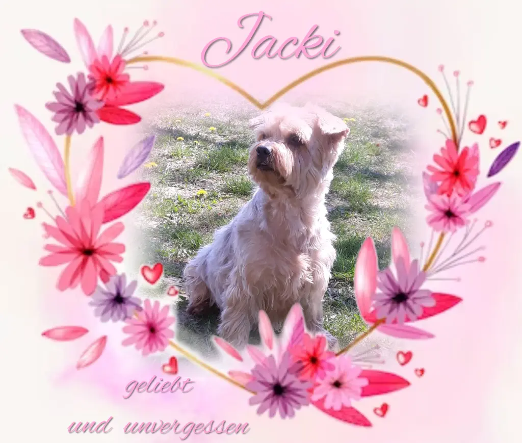 Condolence image of Ewa & Krzysztof 