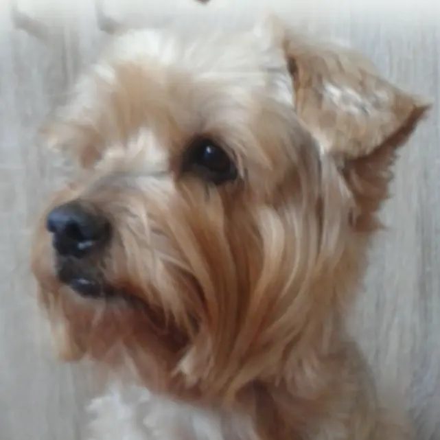 Condolence image of Ewa & Krzysztof 