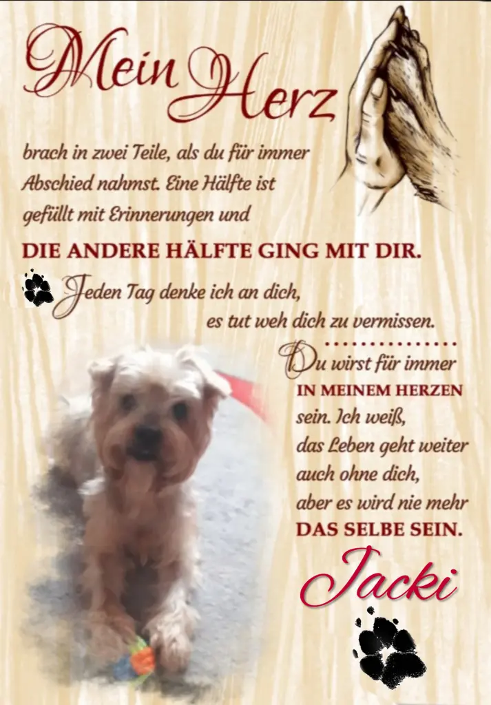Condolence image of Sonntag...47 Wochen ohne Dich lieber Jackuś❤️...