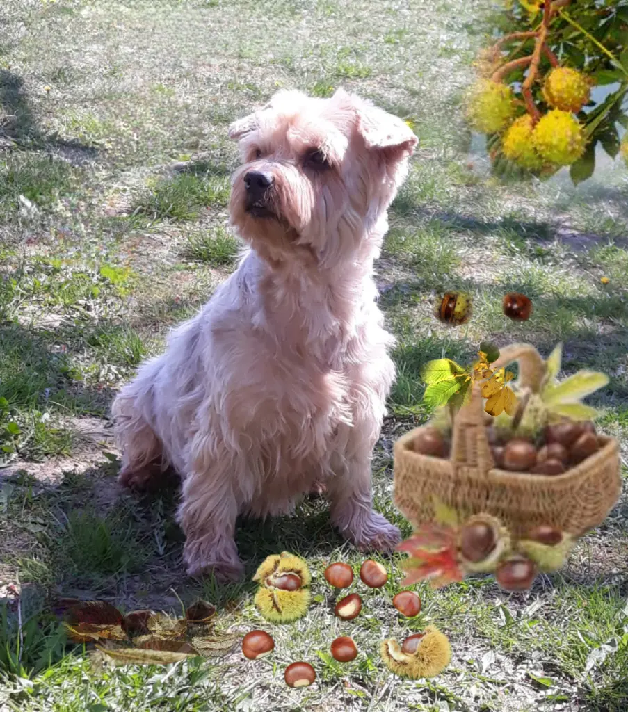 Condolence image of Ewa & Krzysztof 