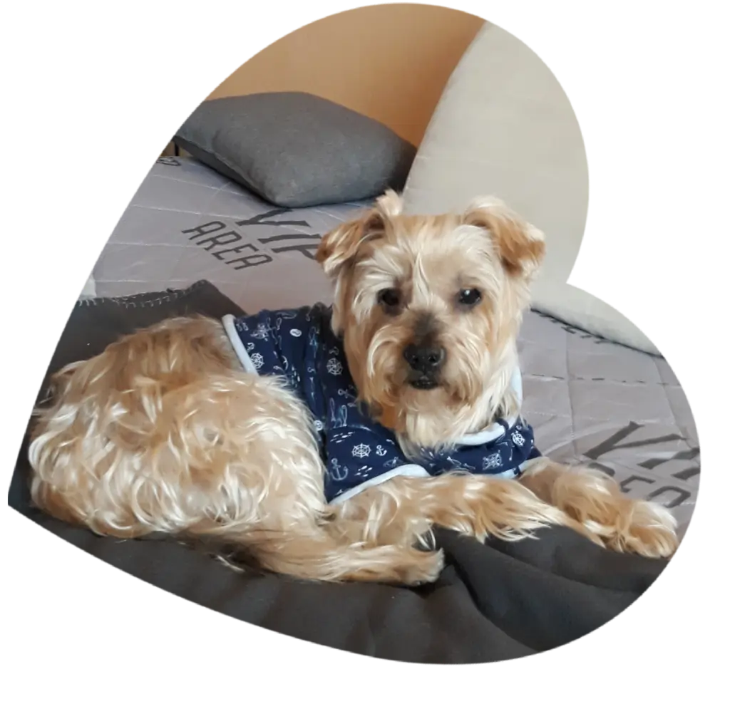 Condolence image of Ewa & Krzysztof 