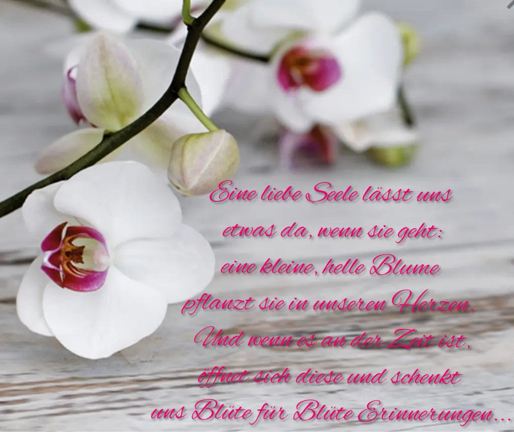 Condolence image of Ewa & Krzysztof 